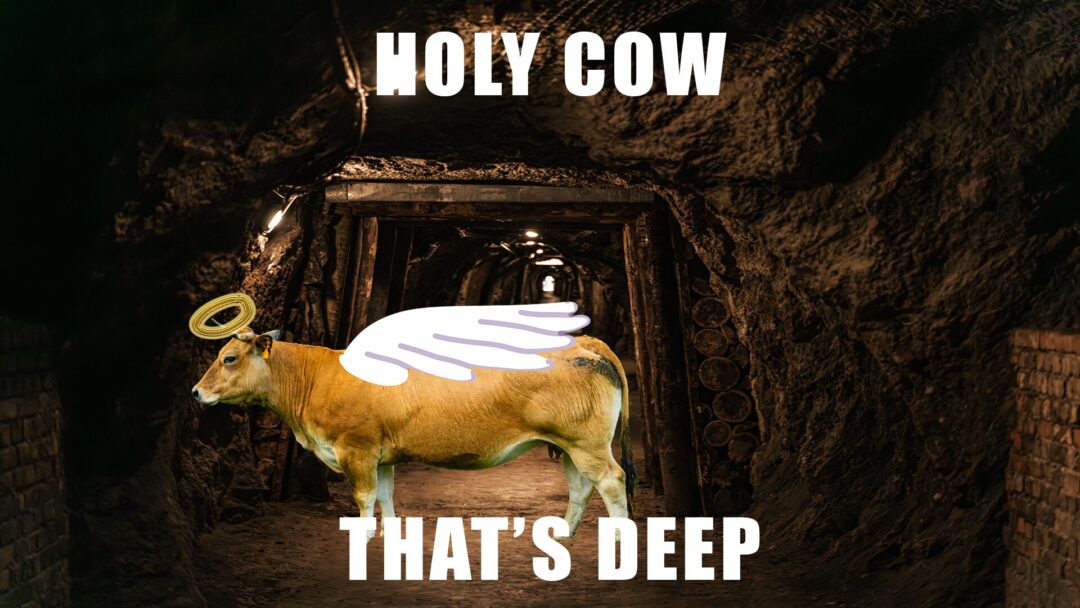 Holy Cow That’s Deep
