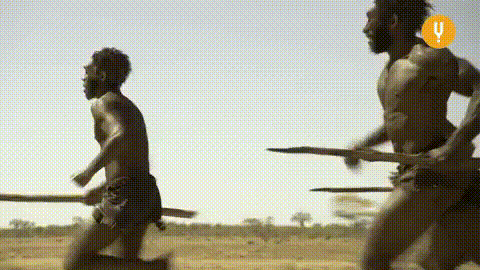 3 homo erectus running⬇️