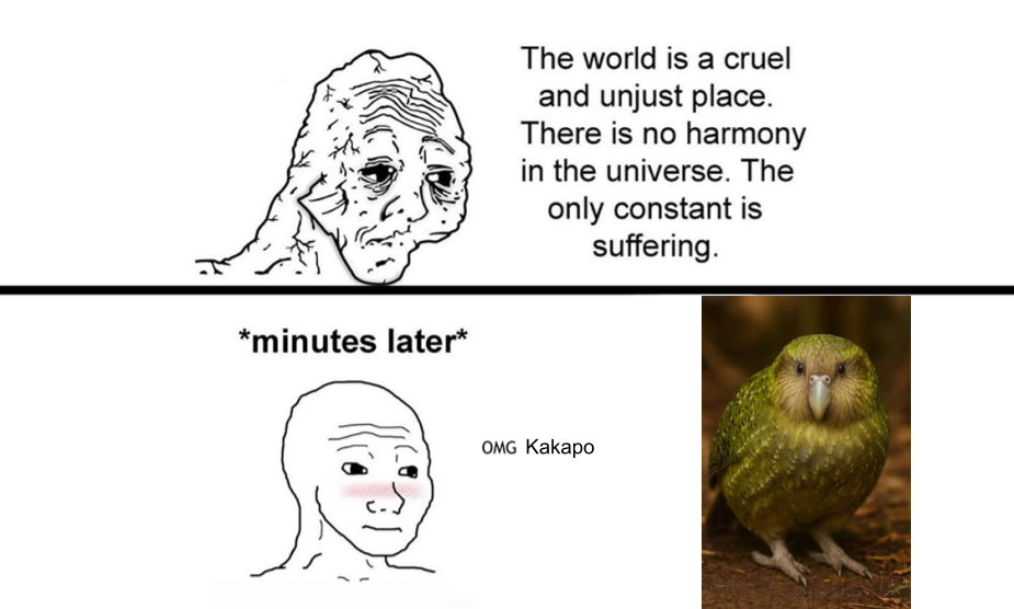Instead of brain, there is Kakapo.