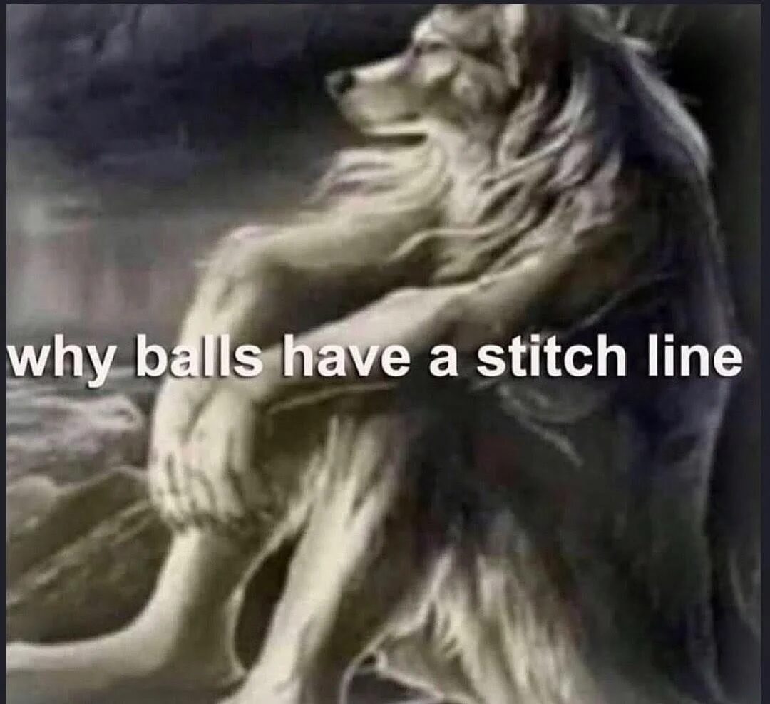 Why. .