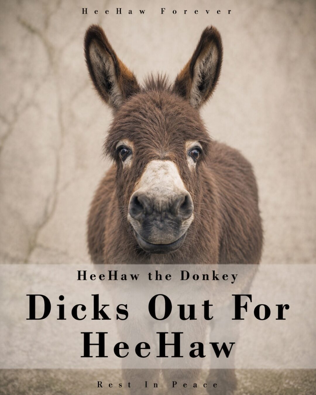 In light of recent events, this one’s for you buddy