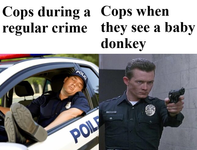 makes sense