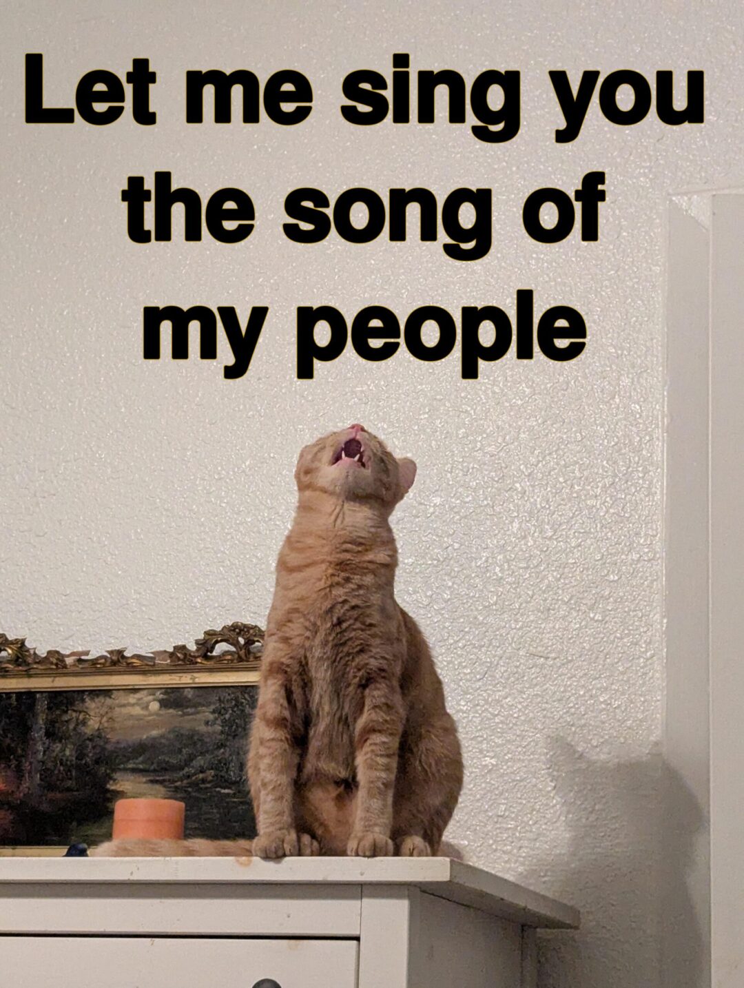 Meeeeeeeeoooooooooooowwwwwwww!