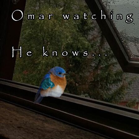 Omar the ominous bird (inside joke between me and my wife)