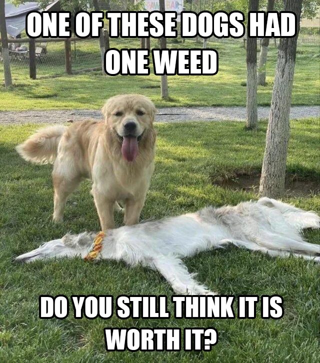 Which one is which?