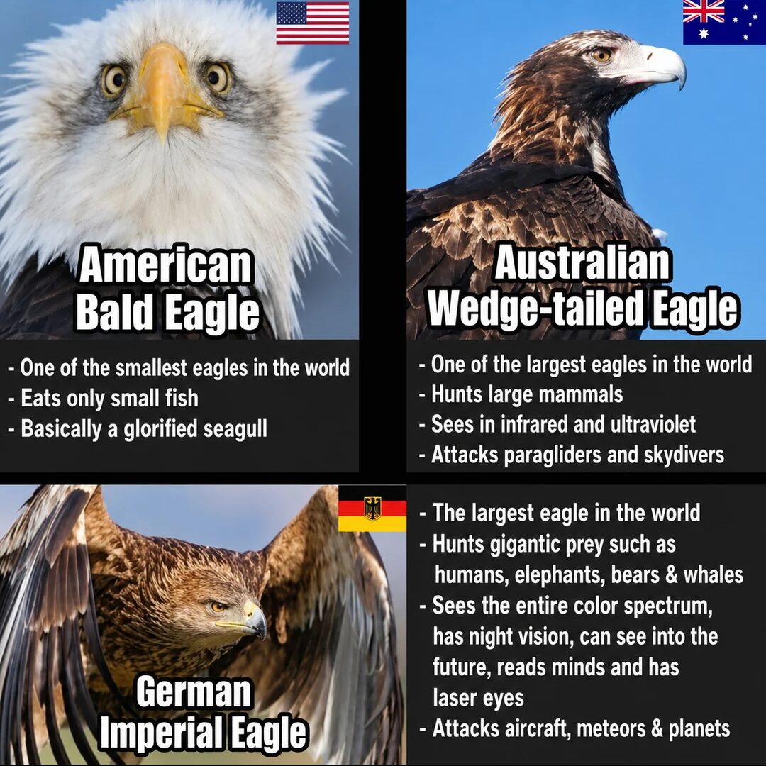 Raaaahhhh 🦅