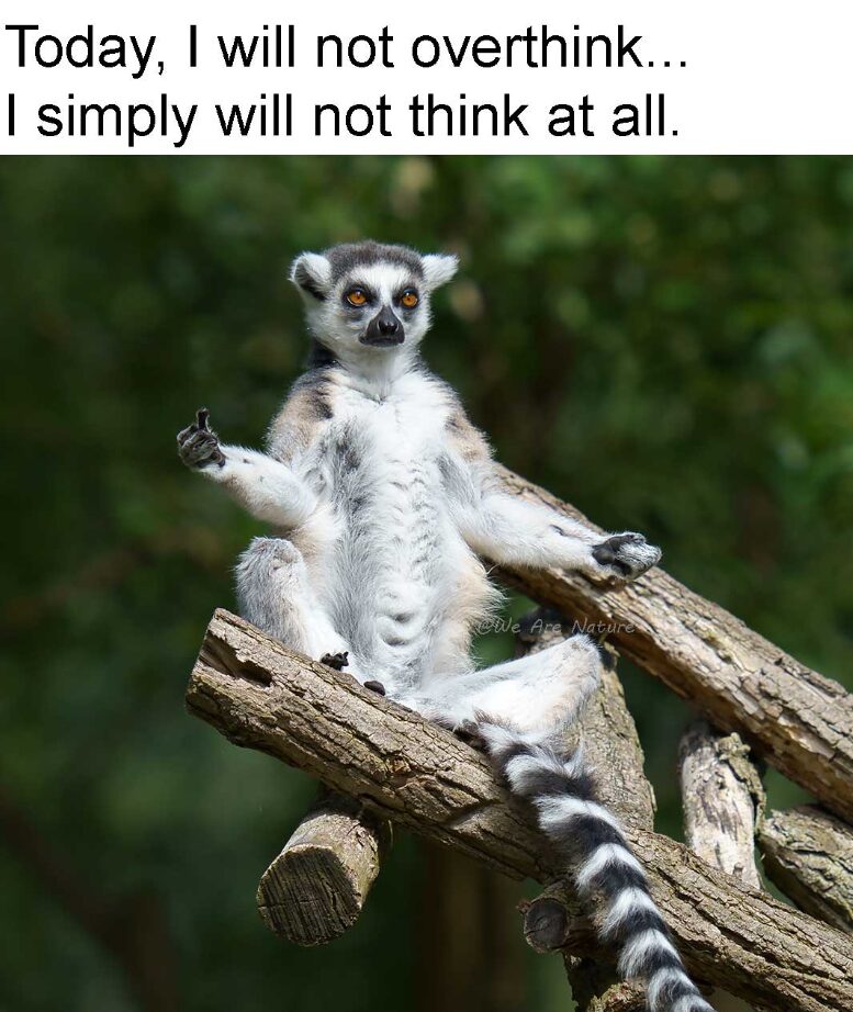 Simply no thinking