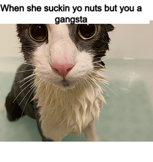 soggy