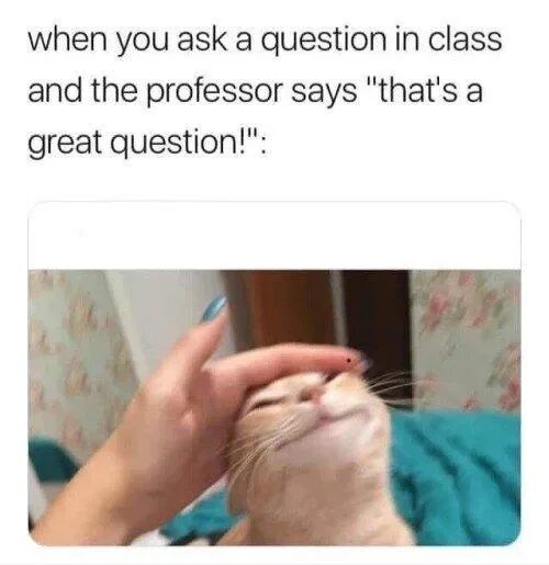 That’s a Great Question!