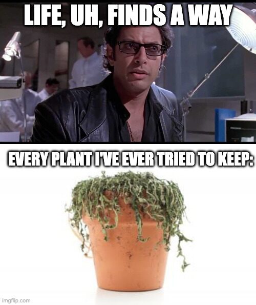 Thought you were supposed to be resilient, little guy