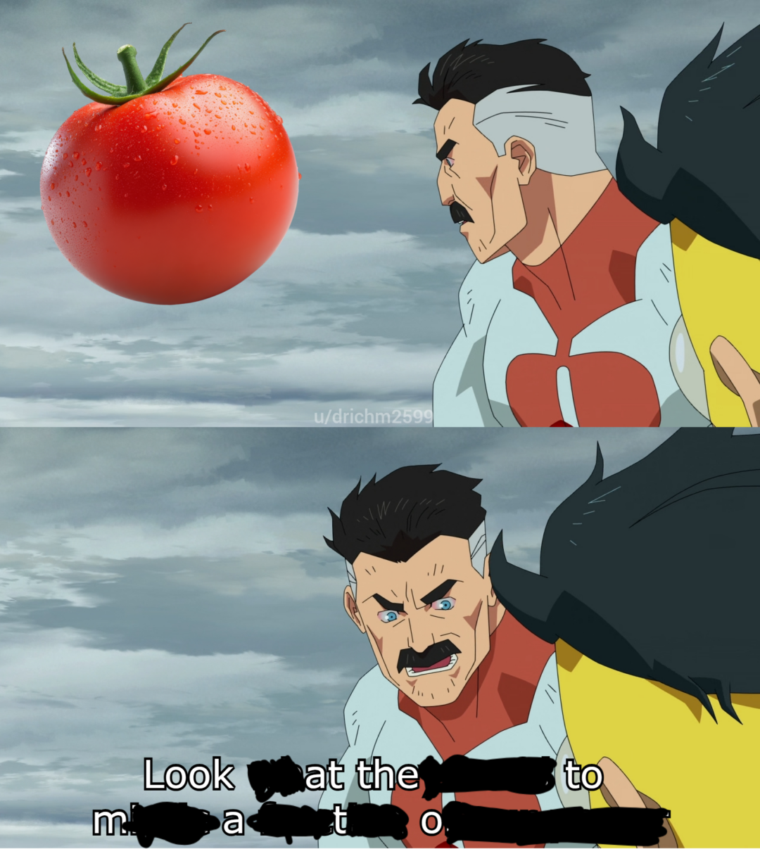 Tomato Tomato