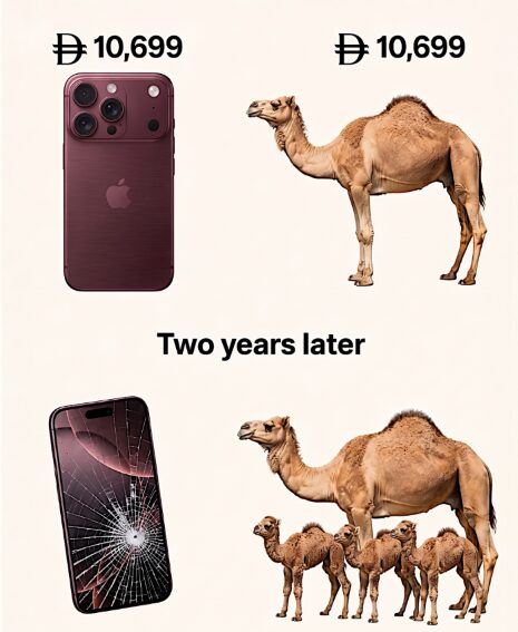 Why waste your money when you can just buy camels?