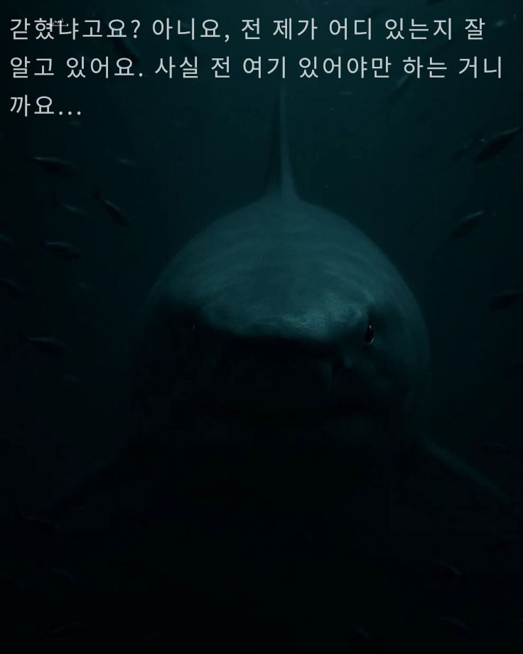 Korean Shark doesn’t want too leave